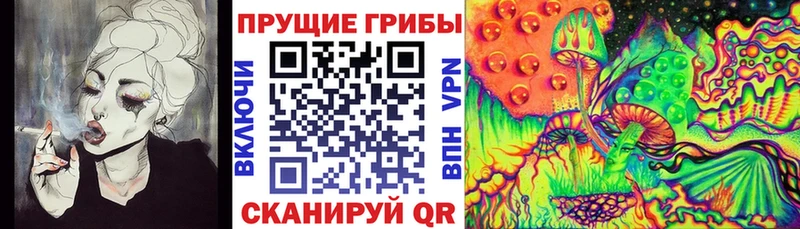 Галлюциногенные грибы MAGIC MUSHROOMS  как найти закладки  Старый Оскол 